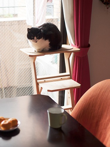 「この１年、俺は成長したのかな？」（小林写函撮影）