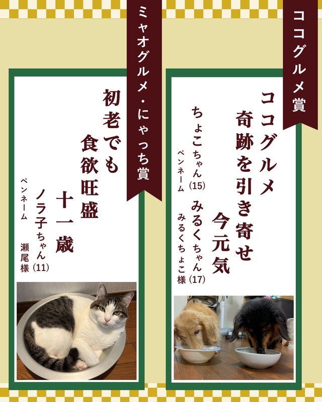 ココグルメ賞、ミャオグルメ・にゃっち賞