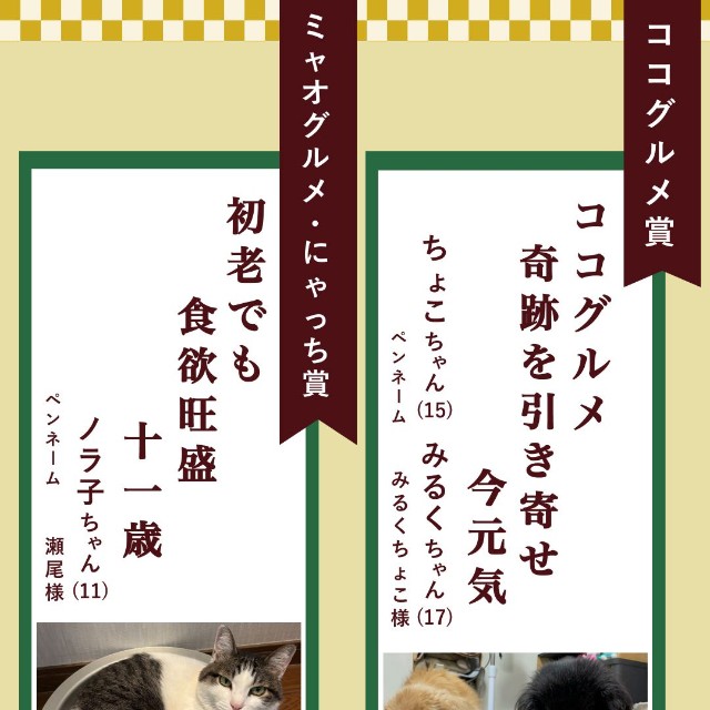 ココグルメ賞、ミャオグルメ・にゃっち賞