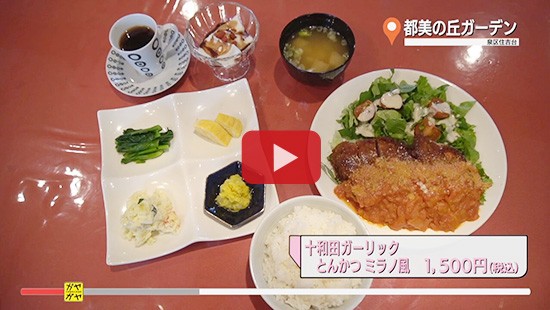 #260都美の丘ガーデン②