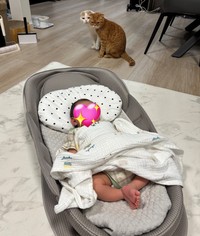 赤ちゃんを遠くから見守るえもちゃん、とろちゃん（提供：aちゃん/1m👦🏻さん）