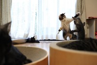 「横はこれくらいじゃなかった？」（画像提供：縦横幅さん）