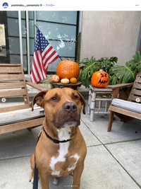 ドジャースの山本由伸選手の公式インスタグラムから