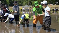 田植え祭りで地域交流　岡山・新見市