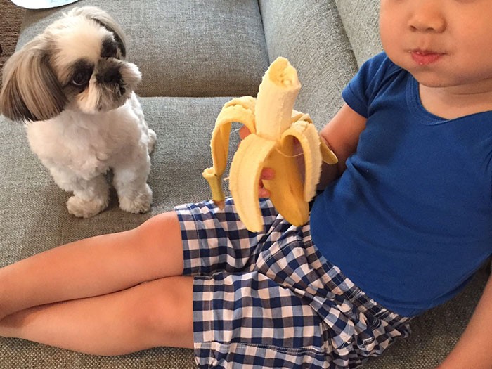 「ねぇ　ちょうだい」