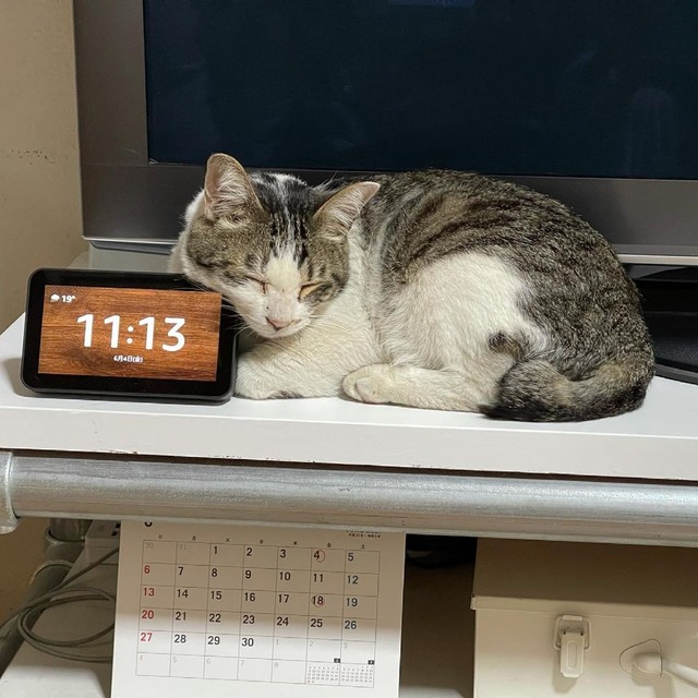 まったく起きる気なし！