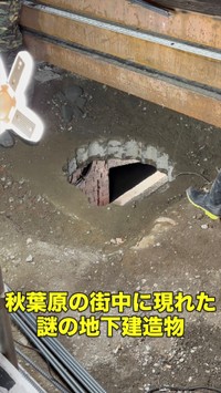 たまたた遭遇したのがカメラマンだったため、綺麗な写真が撮影できた