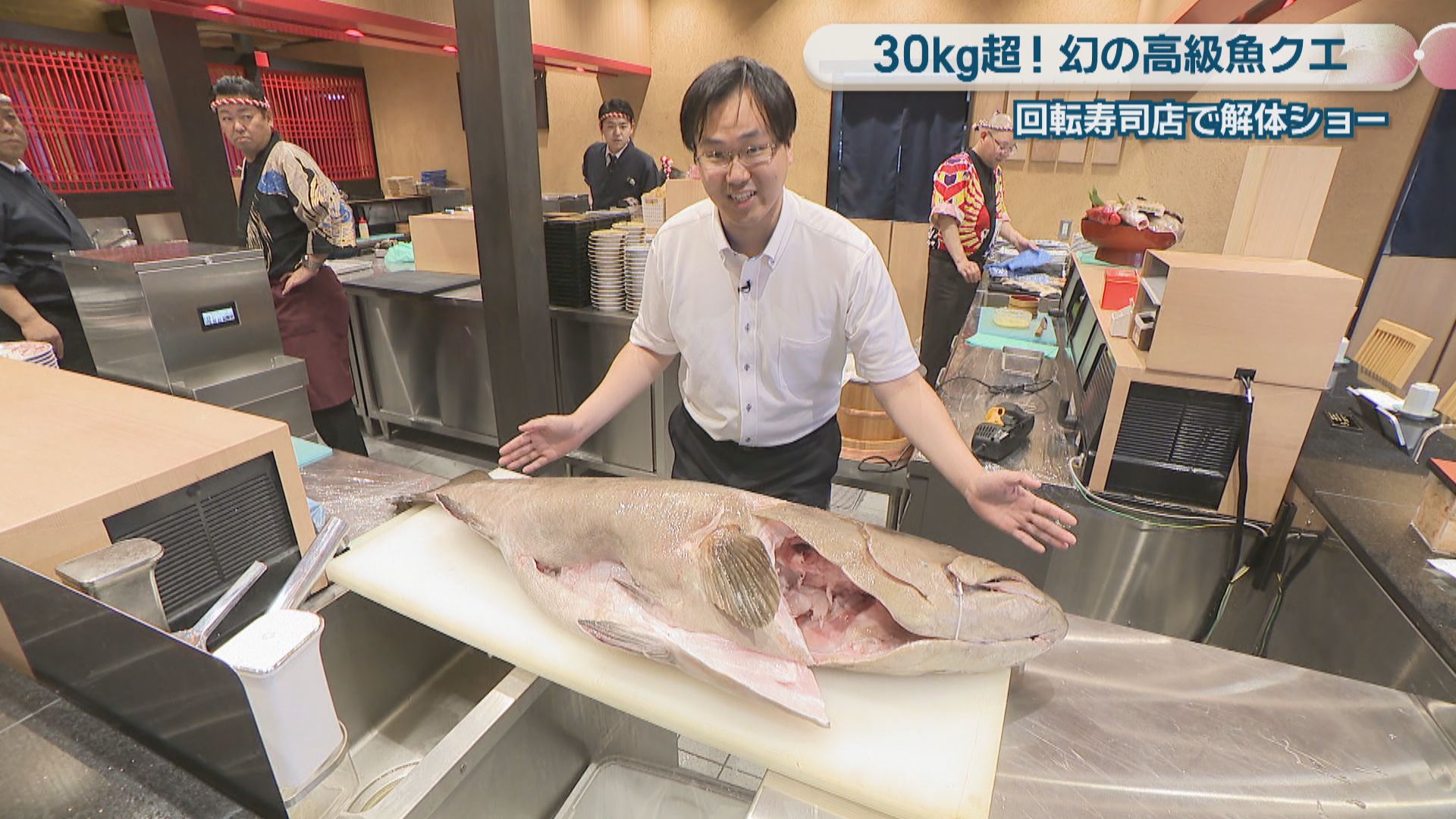 幻の高級魚” クエ 回転寿司店で解体ショー 30kg超…「別次元の大きさ