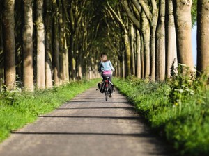 笑えるほど、切羽詰まるまで動かない。その私を「楽しい」で動かそう