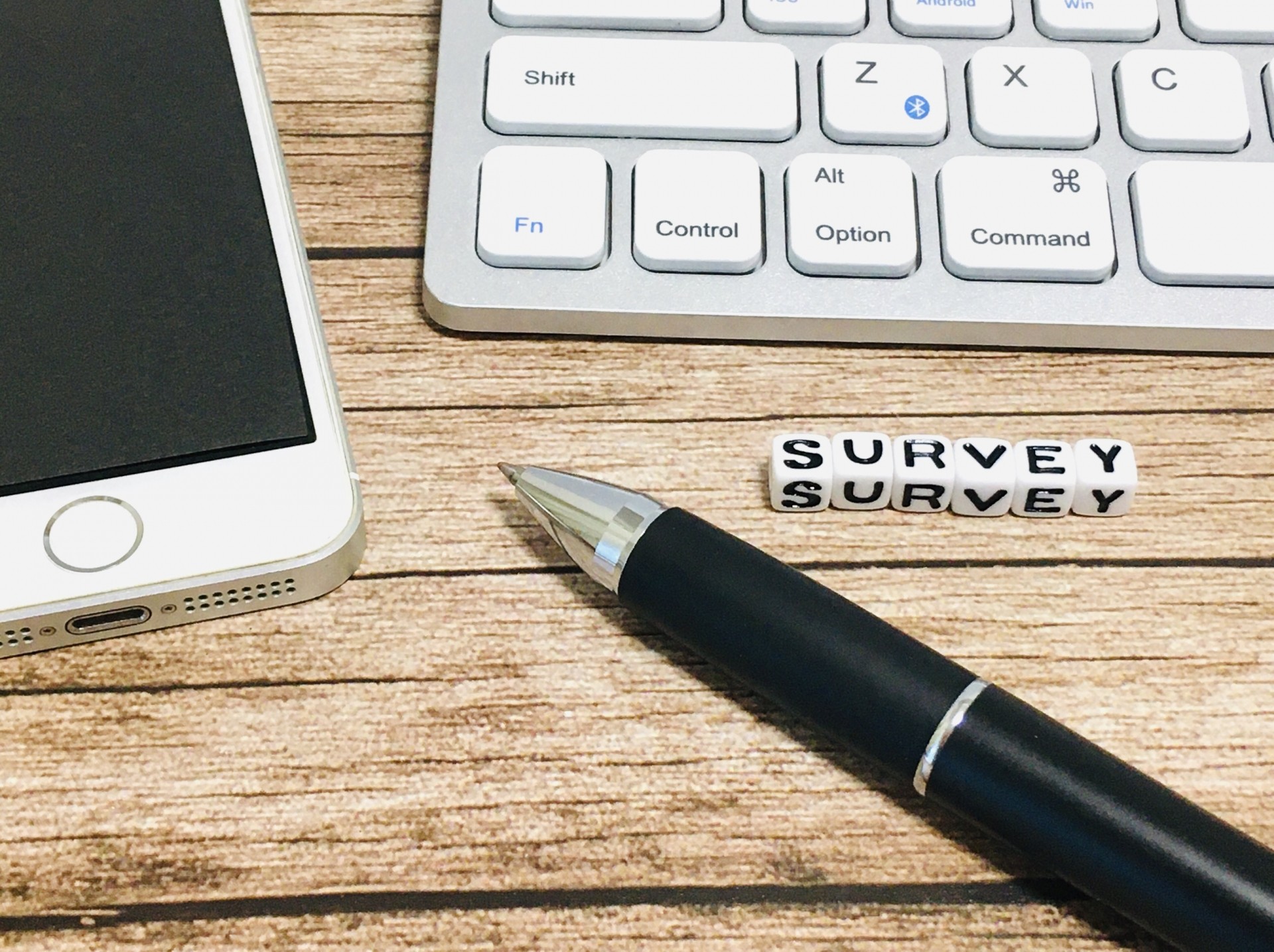 survey