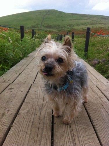 自然の中でリフレッシュ（高藤さん提供）