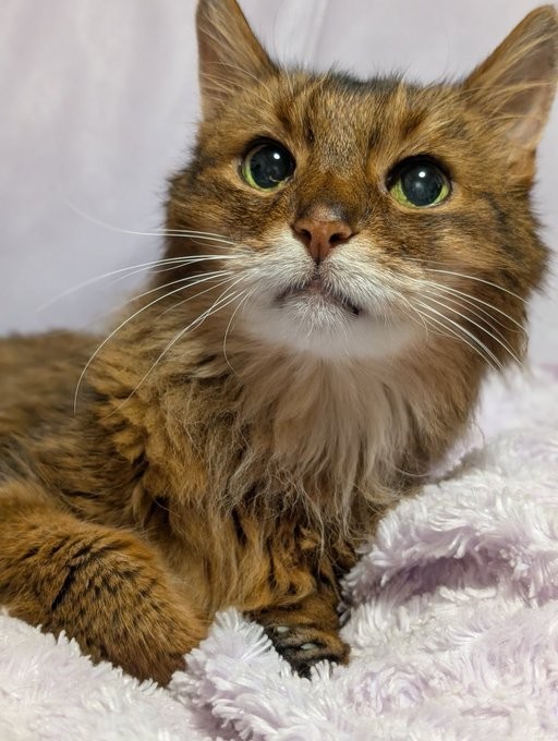 ウルくんにとってミルクの時間は、毎日の楽しみになっていた