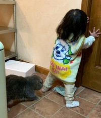 ドアを開けようとする娘さんの背後には…猫の姿が！Xで話題に（たこやきくんの飼い主さん提供）