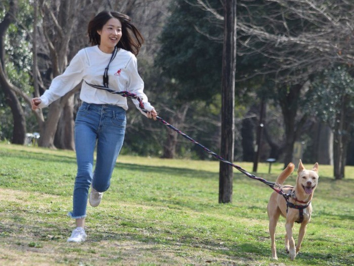 公園内を走る桑原さんと愛犬の友美