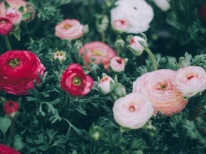 「班長は私にはできません」と泣いて頼んだ私が「ポジティブ」になるまで