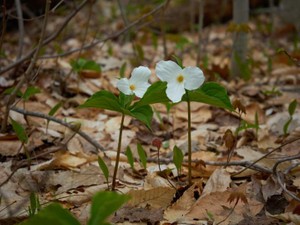 見た目に苛まれた私が、「かわいい自分」への意識の仕方が変わるまで