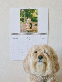 完成したかまぼこカレンダー（提供：かまぼこさん）