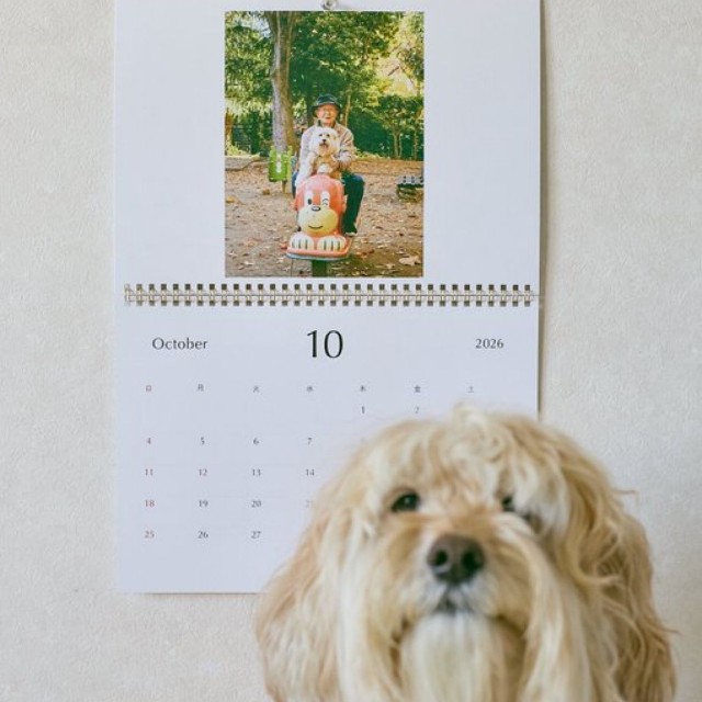 完成したかまぼこカレンダー（提供：かまぼこさん）