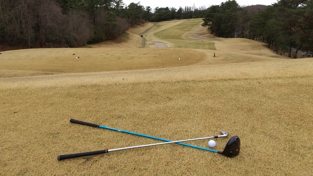 3月末の某日、緑が待ち遠しい