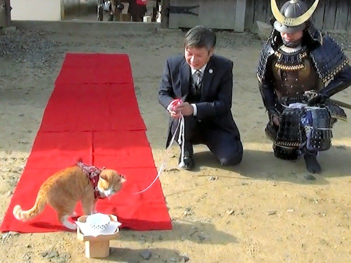 お供を従えて入城し食事をする、さんじゅーろー＝高梁市の備中松山城