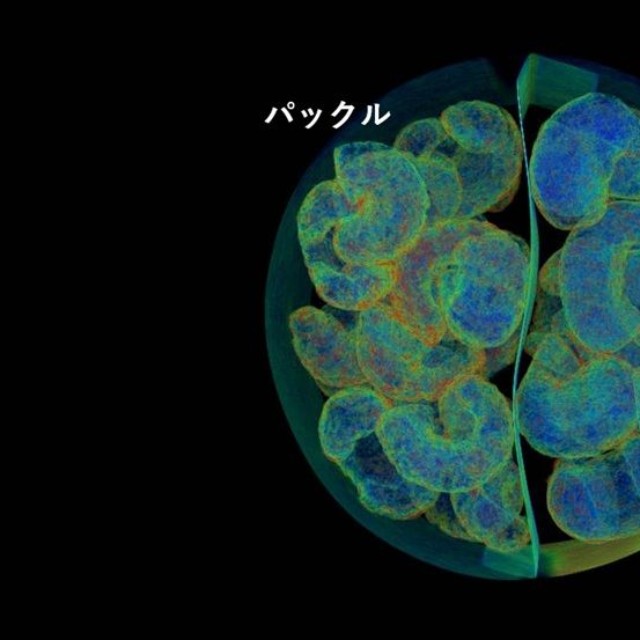 確かに違う！（有限会社ホワイトラビット提供）