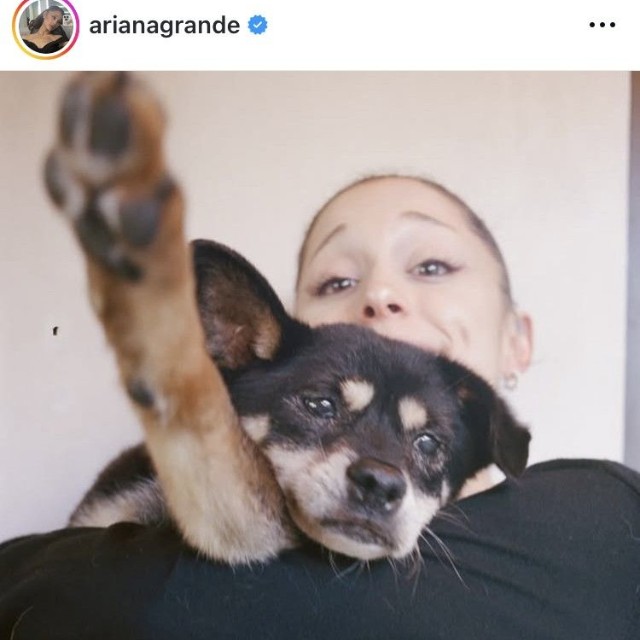 アリアナ・グランデのインスタグラム＠arianagrandeより