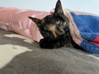 まさかの検査結果に愕然…