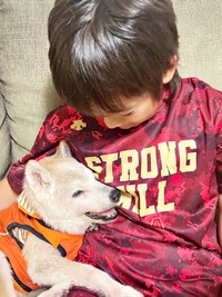 2025年6月9日、18歳の誕生日を迎えた柴犬・チャコちゃん（画像提供：ちゃーくん）