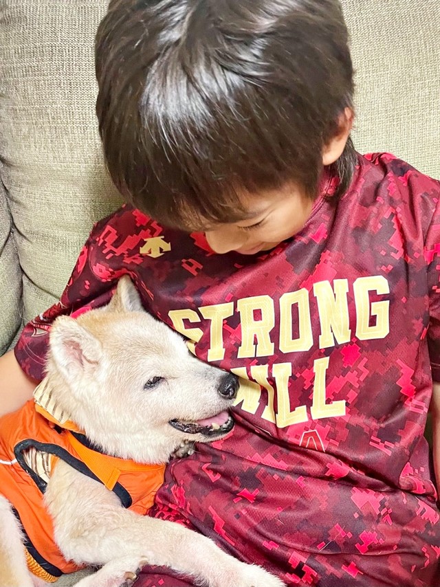 2025年6月9日、18歳の誕生日を迎えた柴犬・チャコちゃん（画像提供：ちゃーくん）