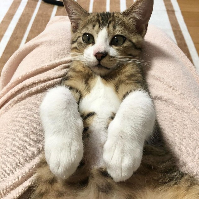 お休み前のマッサージ