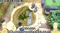 亀池の様子／投稿主さん提供