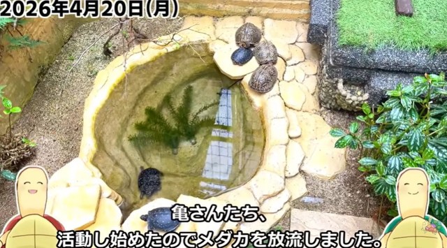 亀池の様子／投稿主さん提供