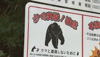 【詳細】宮城県内クマ出没情報（７日午後３時時点）