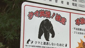 【詳細】宮城県内クマ出没情報（７日午後３時時点）