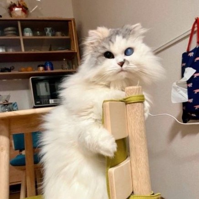 椅子を見事に使いこなしてくれたことも！