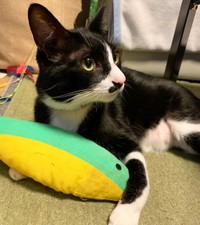 まだまだあどけない表情