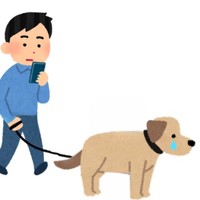 お散歩の時はどうかワンちゃんの顔を見ながら歩いてあげて。スマホじゃなくて。