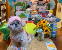 11歳になった今年の誕生日©AUN／投稿主さん提供