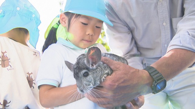 「フワフワで温かかった」園児らが移動動物園でチンチラやモルモットなどと触れ合い　命大切にする気持ち育んで　高松市