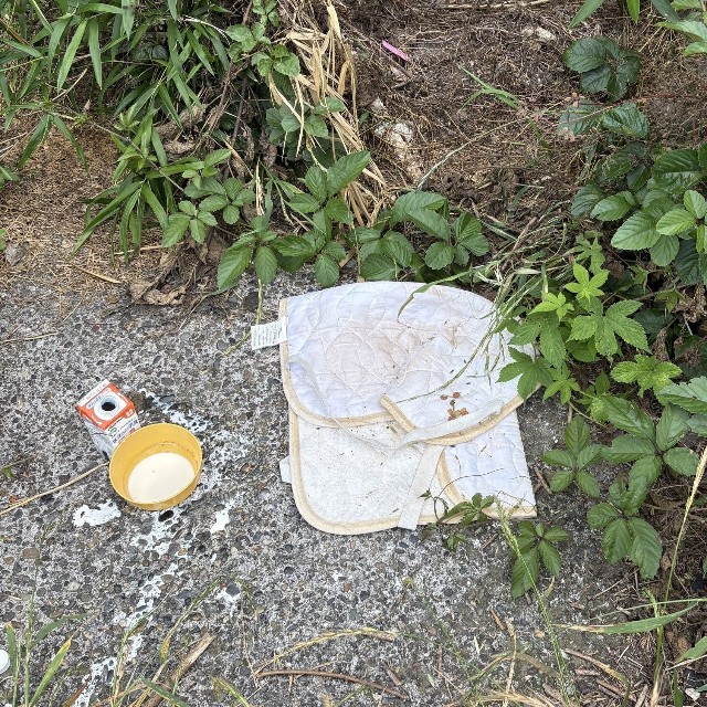 布の上にカリカリ、カップに幼猫用ミルクが置いてあった（れんげさん提供）