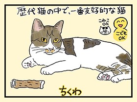 十猫十色！　猫別OK／NG一覧表 やっぱ、猫じゃけぇ(33)