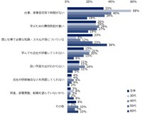 資格の取得に取り組んでいない理由（提供画像）