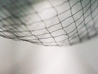 両親の離婚は自己責任。それなのに心配ばかり浮かんで眠れない