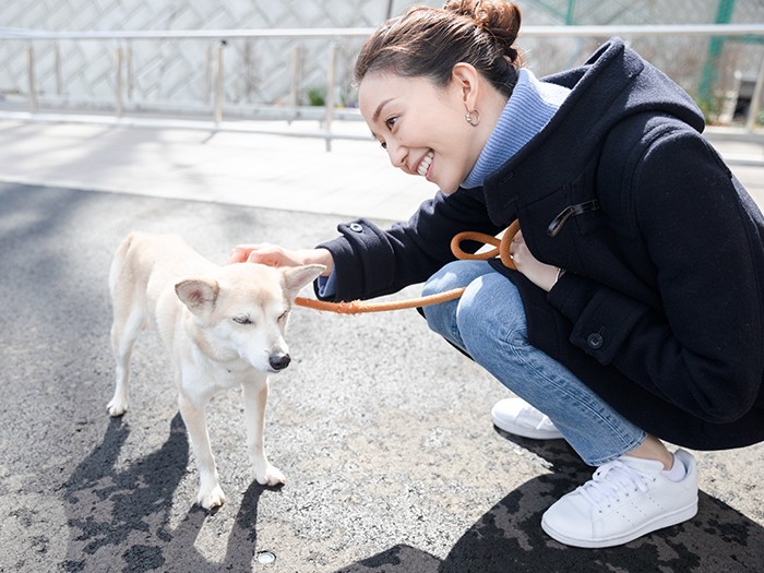 犬と触れ合う松島花さん