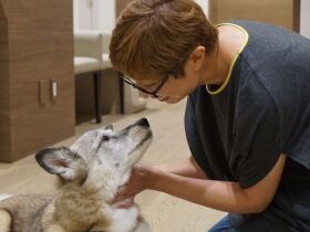 クリニックのおっとりした雑種犬　患者の心をそっと癒やす日々「ほろっとする」