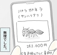 なんと24万2000円という高額なアリ（まめねこさん提供）