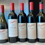 左からBIN311（白）、BIN389、グランジ2015、グランジ2014、グランジ2005（提供）