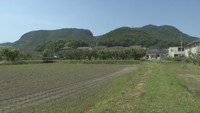 高松市国分寺町にある竹本慧さんの畑