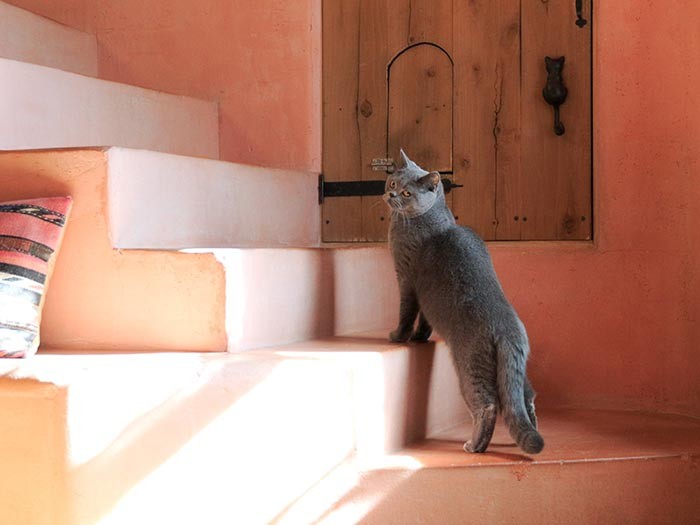 グランの名まえには「大きく」（育て！）と込めました