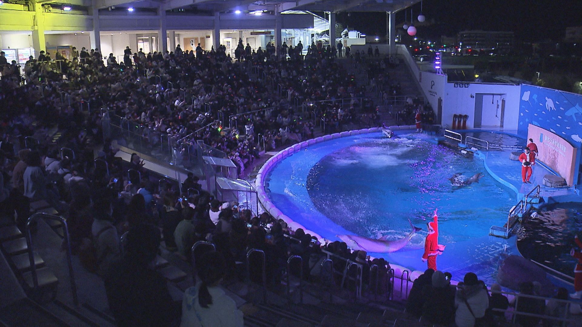 一夜限りの特別なクリスマスイベント　仙台うみの杜水族館　